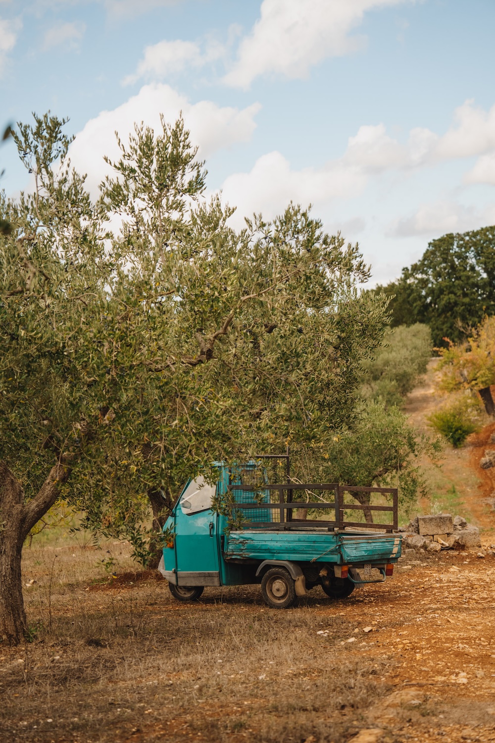 Puglia Italien Urlaub Olivenöl Apulien Olivenöl Italien Roadtrip